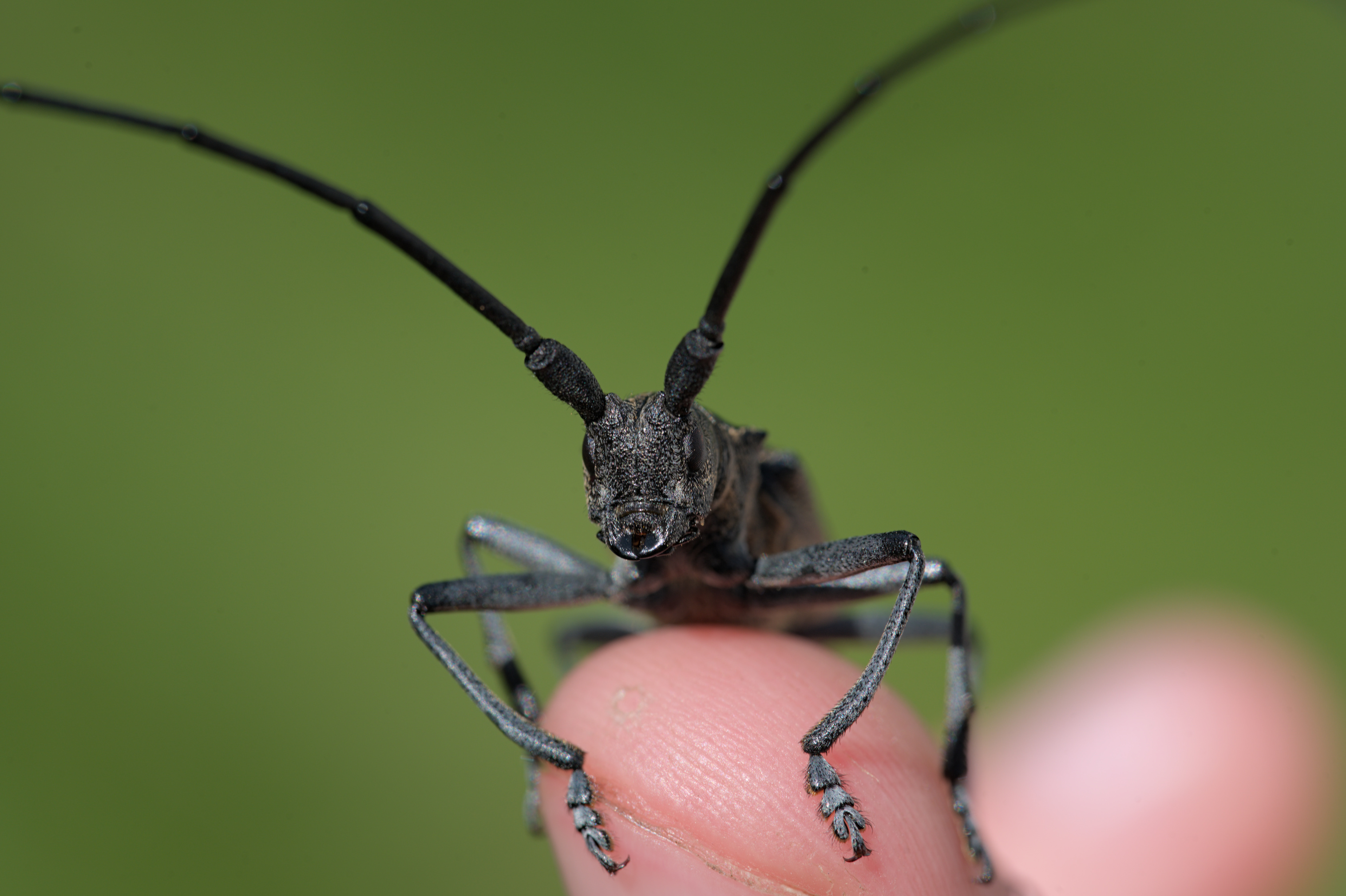 2025/07/09-14 - trip/export/DSC_0141.jpg